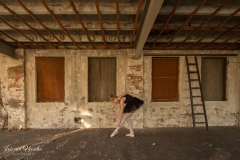 Ballerina  wall -1