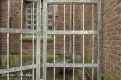 Behind bars - The bars -2