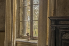 château artillery -  A shoe in the window